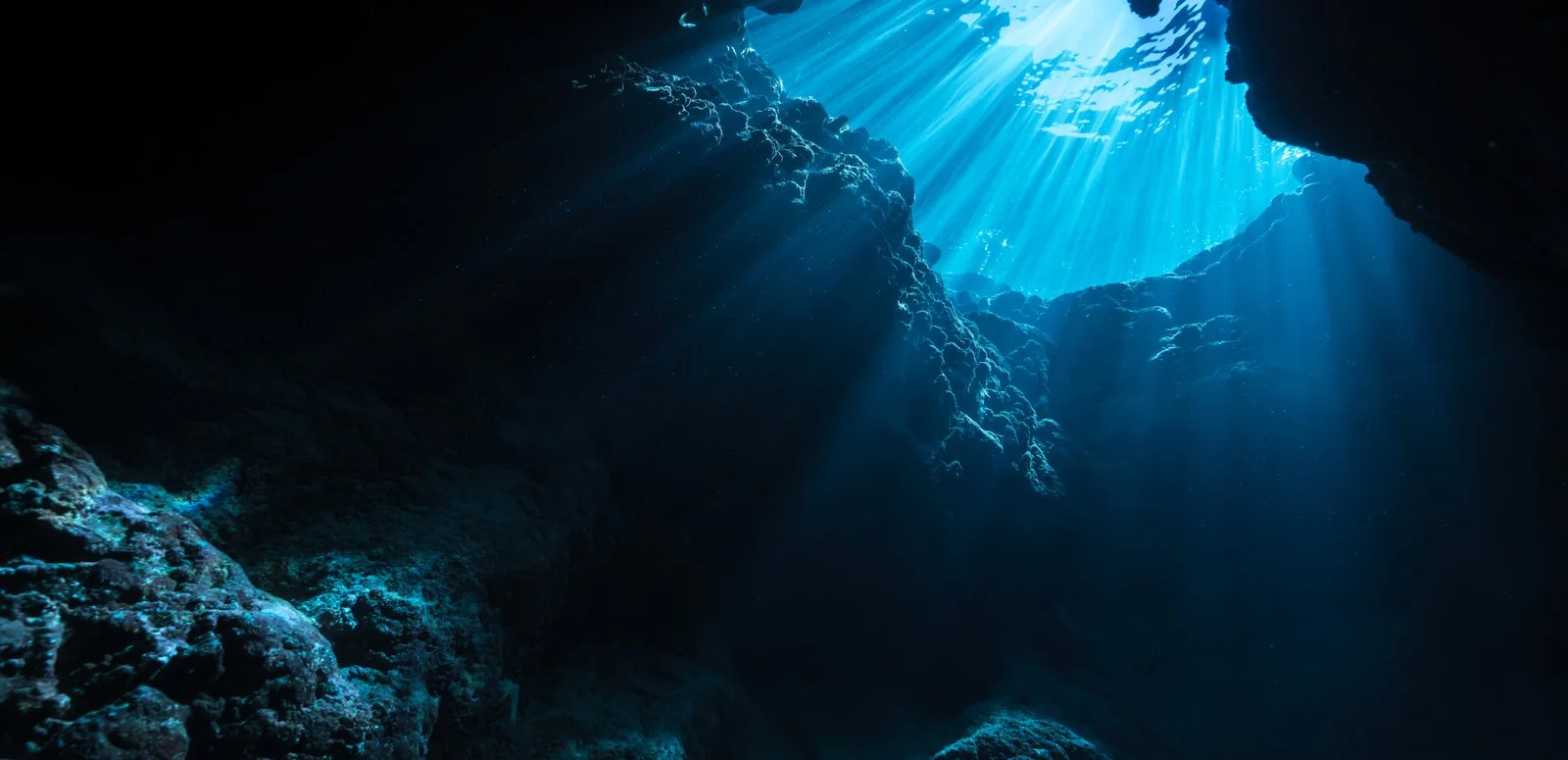 Inspired by the Ocean<br>Made for Everyday Life